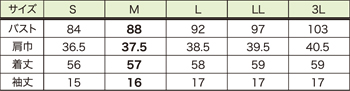 サイズ表