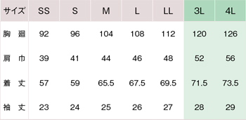 サイズ表