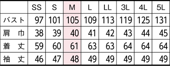 サイズ表