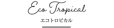 エコトロピカル タイトル 事務服