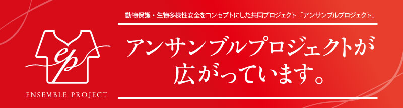 アンサンブルプロジェクトが広がっています。 事務服